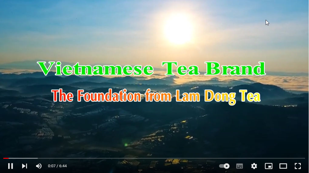 VietNamese Tea Brand – The Foundation from Lam Dong Tea